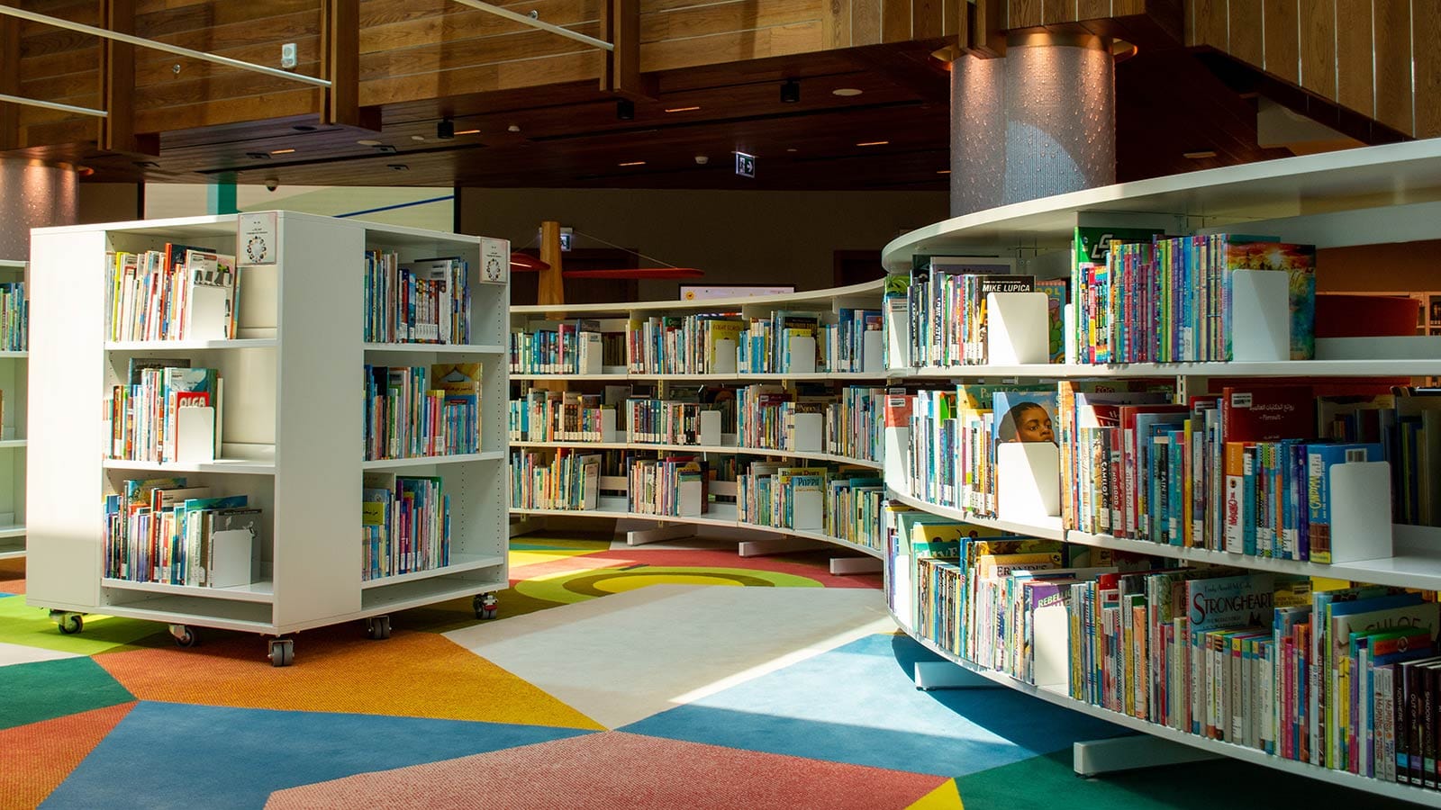 Hoe deel je een schoolbibliotheek het beste in als je leesplezier wilt vergroten: op leesniveau of op onderwerp?